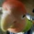 Profile picture of Lola Badz