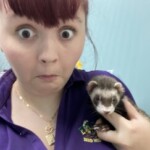 Profile picture of Isabella Smith